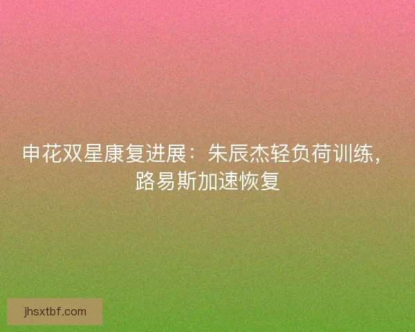 申花双星康复进展：朱辰杰轻负荷训练，路易斯加速恢复