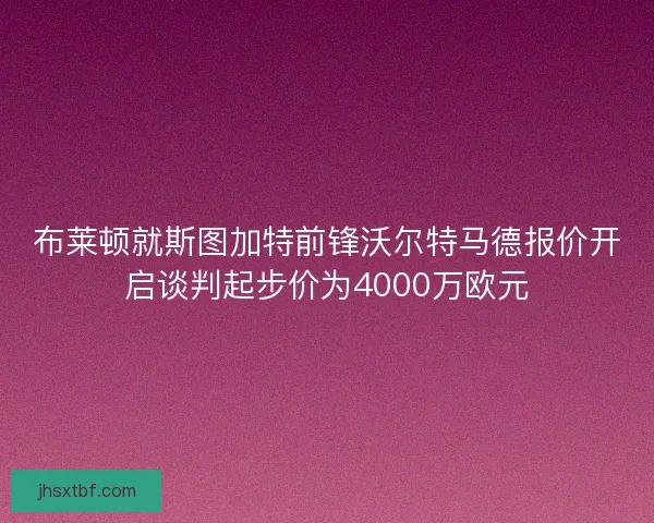 布莱顿就斯图加特前锋沃尔特马德报价开启谈判起步价为4000万欧元